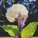 quillandcoffee avatar