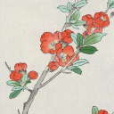 quinceblossoms avatar