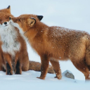 quinnnnnns-world avatar