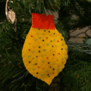 quinnwithabeard avatar