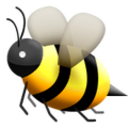 quinta-essentia-26 avatar