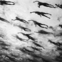 quinta-faja-blog avatar