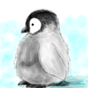 quintessentialpenguin avatar