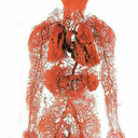 quirky-sprogg avatar