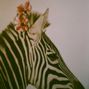 quirkyelliegaze avatar