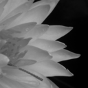 quitequiteblue avatar