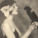 quixoticcurator avatar