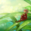 quixoticharmonic-blog avatar