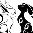 quiznakingcat201 avatar