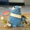 quizzical-queries avatar