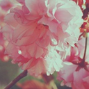 quoi-chaispas avatar