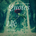 quotes-and-questions avatar