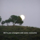 quotesfordayzzzzzz avatar