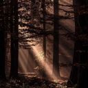 quotesforoursouls avatar