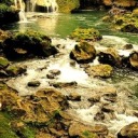 quotesfromanime avatar