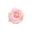 quoteslovin-blog avatar