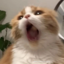 quotespostsstuff avatar