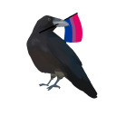 quotethenight avatar