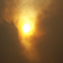 quouteveryone avatar