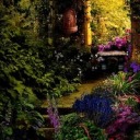 qveen-brallie avatar