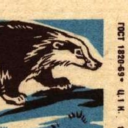 qwefbjksfbjksda avatar