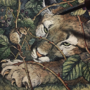 raaccoontears avatar