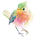 raasberry-sugar avatar