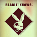 rabbit-knows avatar