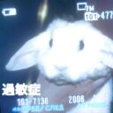 rabbit02011994 avatar