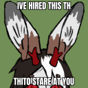 rabbitdogthing avatar