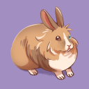 rabbitfinder avatar