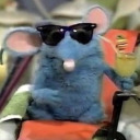 rabbitintheair avatar