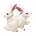 rabbitraw avatar