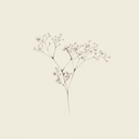 rabbits-in-a-field avatar