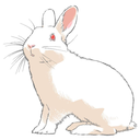 rabbittanaka avatar