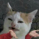 rabecca-is-me avatar