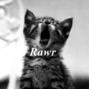 rabeccagoesrawr avatar