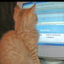 rabiesriddenkittie avatar