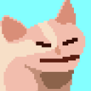 raccoon-in-a-hoodie avatar