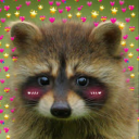 raccooninthegarage69 avatar