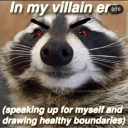 raccoonocellus avatar