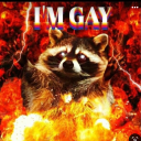 raccoons1ut avatar