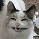 raccoonsaloonboy avatar