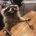 raccoonsandrangoons avatar