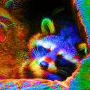 raccoonsdreamtoo avatar