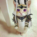 raccoonwithaphone avatar