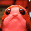 rachel-hates-porg avatar