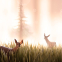 rachelbellinsky avatar