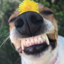 rachellgibbs-blog avatar