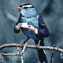 rachelpimp-blog avatar